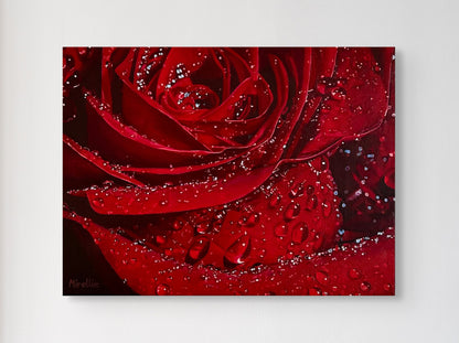 'Red Rose With Dewdrops' (Digital Print)