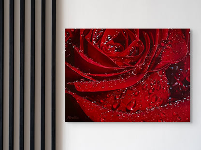 'Red Rose With Dewdrops' (Digital Print)