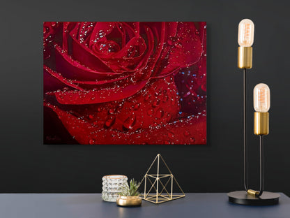 'Red Rose with Dewdrops' Original Oil Painting